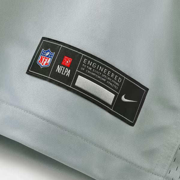 Sam LaPorta Detroit Lions Nike 2026 Rivalries Collection Game Jersey - Silver