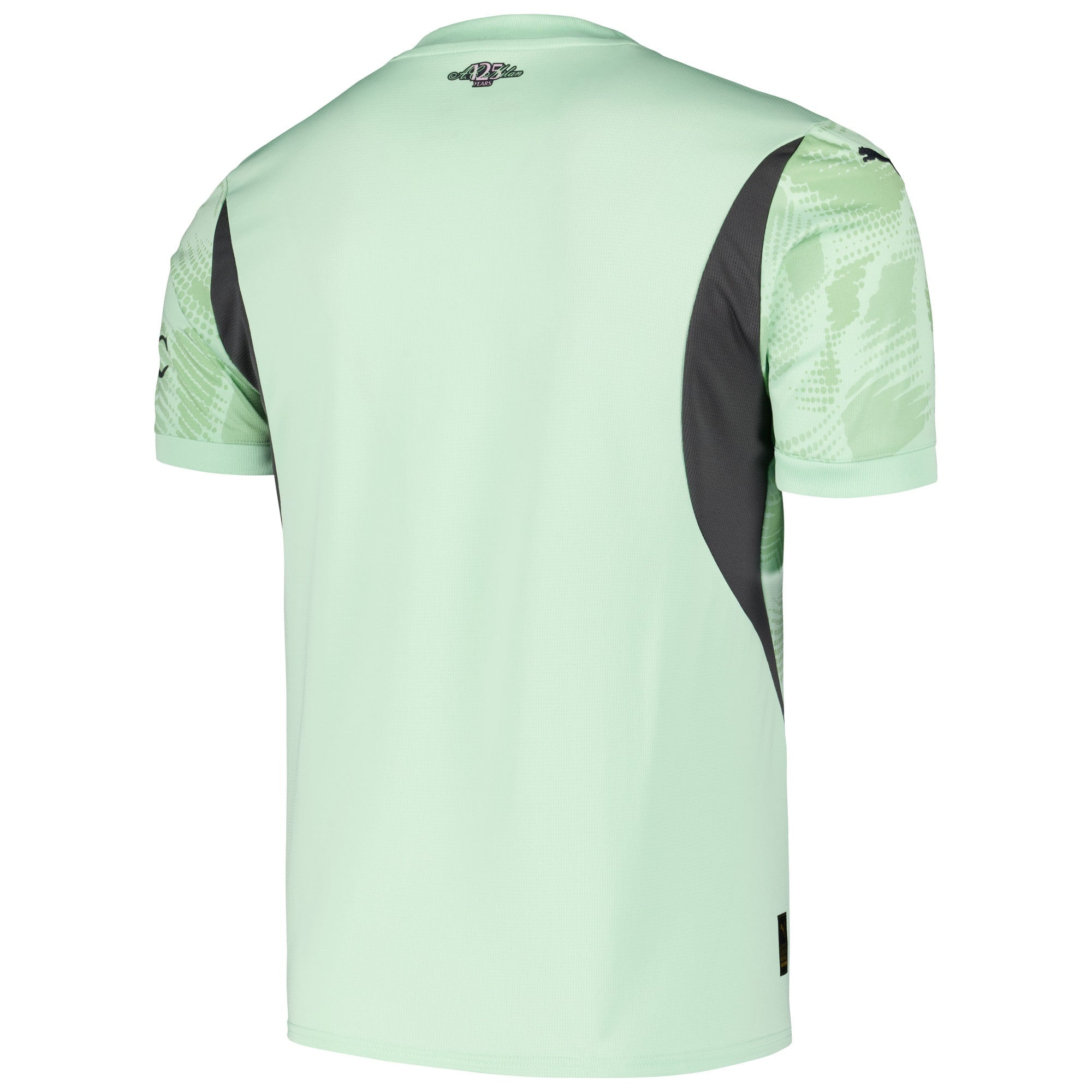 AC Milan Puma 2024/25 Goalkeeper Authentic T-shirt - Mint