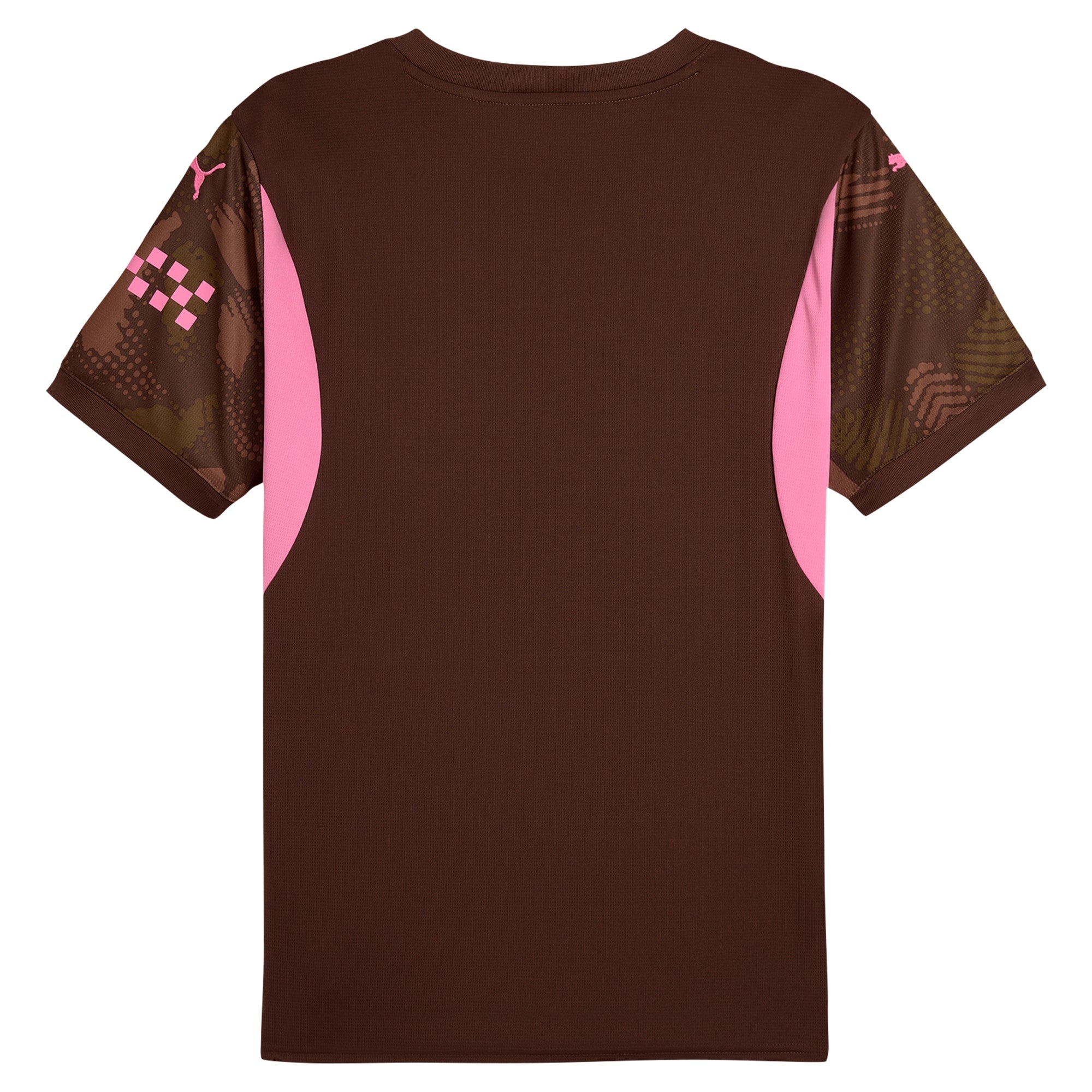 Manchester City Puma 2024/25 Short Sleeve Goalkeeper Authentic T-shirt - Brown