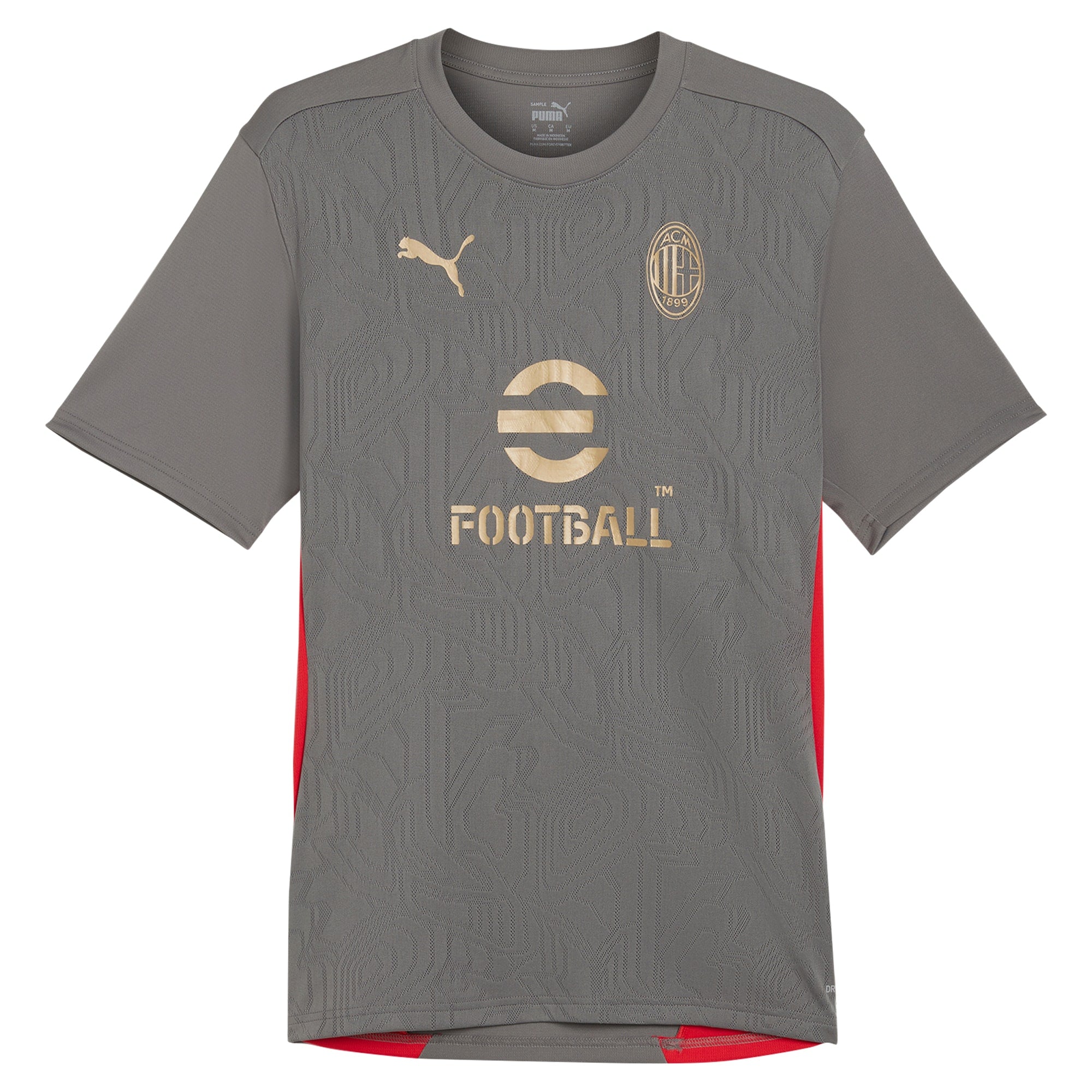 AC Milan Puma 2024/25 Training Authentic T-shirt - Gray