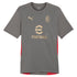 AC Milan Puma 2024/25 Training Authentic T-shirt - Gray
