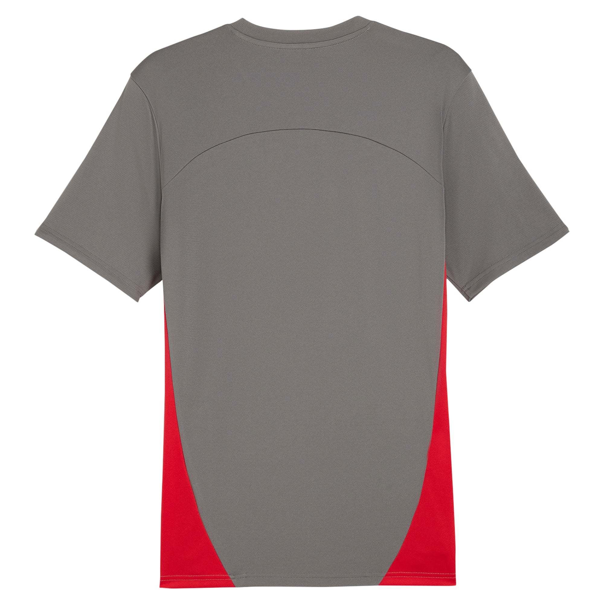 AC Milan Puma 2024/25 Training Authentic T-shirt - Gray