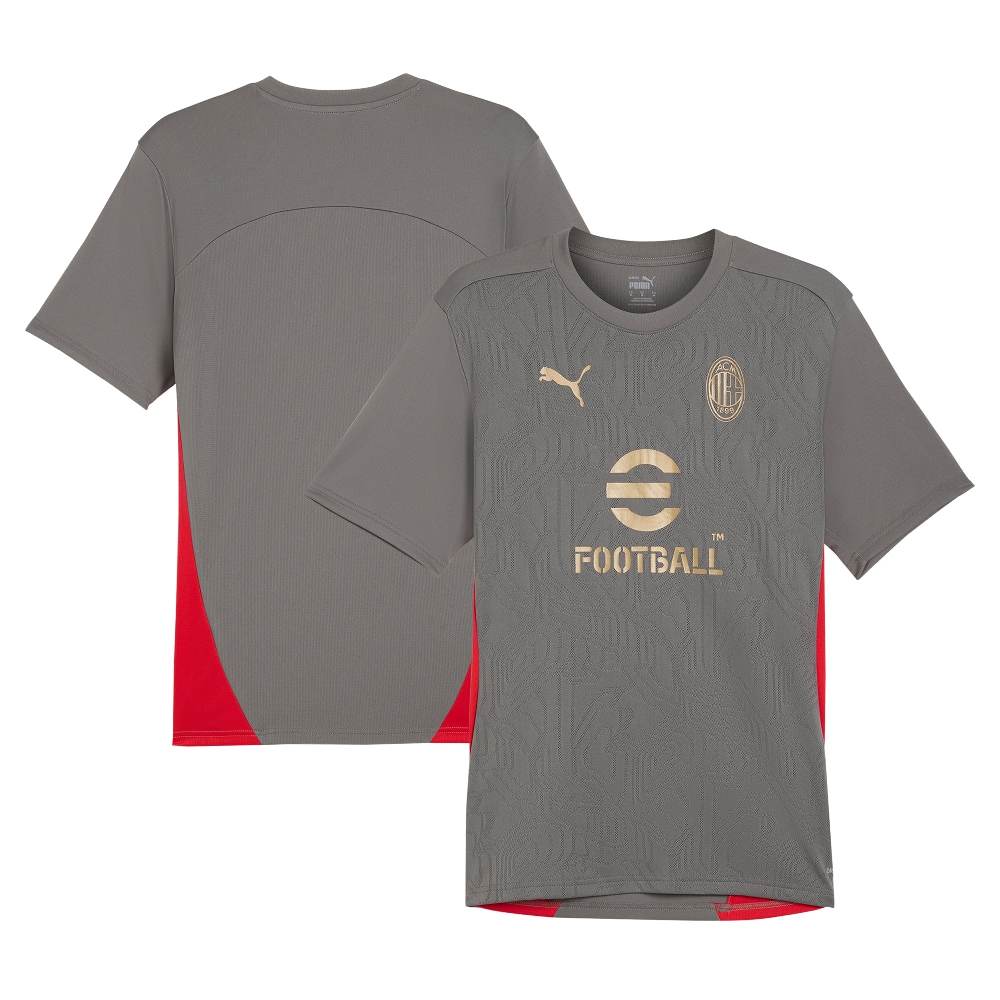 AC Milan Puma 2024/25 Training Authentic T-shirt - Gray