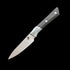 Microtech Steak Knife Premium Kitchen Fixed Blade – 3.74" M390 Super Steel Stonewashed Blade – Ergonomic G10 & Aluminum Alloy Handle Luxury Culinary Tool