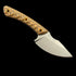RMJ Tactical Small Fixed Blade Straight Knife – 3.54" USA-10 Steel Titanium Coated Blade – Dual-Color G10 Handle Combat EDC