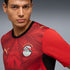 Puma Egypt National Team 2026 Home Replica Jersey Red