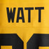 Nike Pittsburgh Steelers Alternate 1933 Throwback Game Custom Jersey Gold