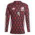 Raul Jimenez Mexico National Team adidas 2024 Home  Player Long Sleeve Authentic T-shirt - Burgundy