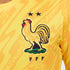 France National Team Nike 2024 Goalkeeper Stadium Long Sleeve Authentic T-shirt - Yellow